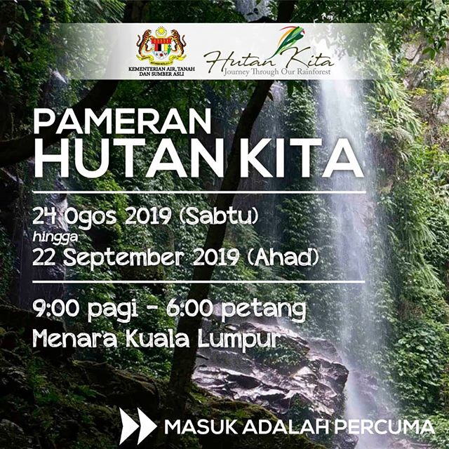 M’sia now has NATIONAL TREE; get to know the pokok Merbau