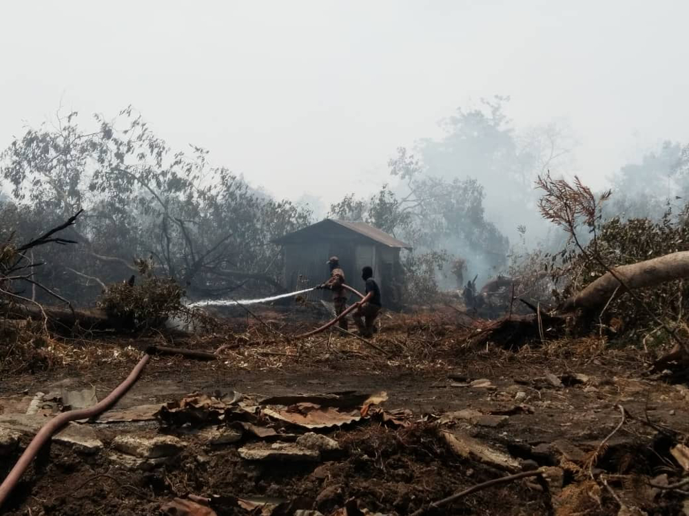 State governments, local authorities, land owners told to prevent forest fire