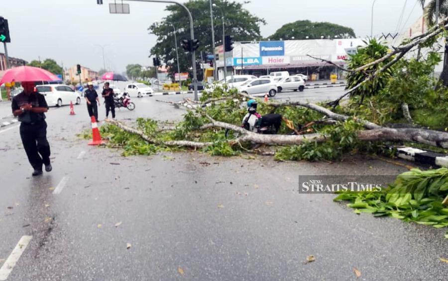 Jitra motorcyclist killed by falling tree branch