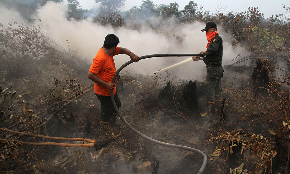 Forest fire in Iskandar Puteri spreads to 98ha