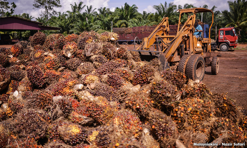 MPOA proposes 3 budget wish list items to safeguard oil palm industry