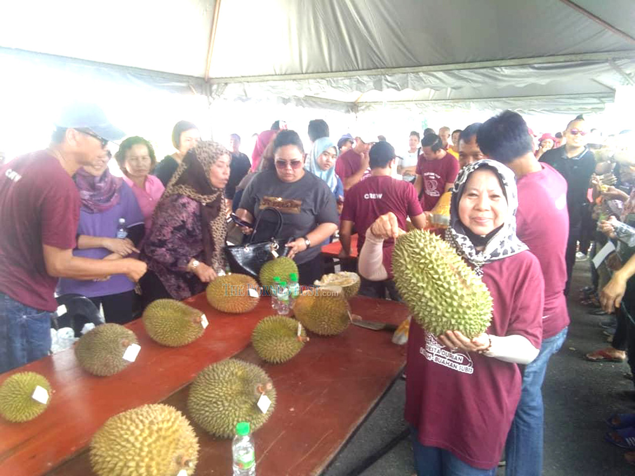 ‘10,000 Musang King seedlings distributed to villages in Bekenu’