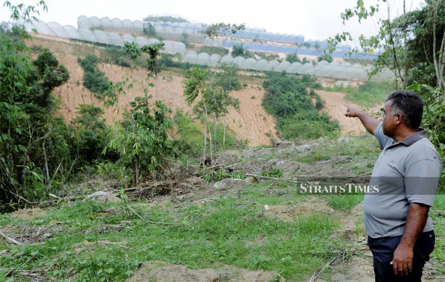 4 companies in Lojing served with stop-work orders