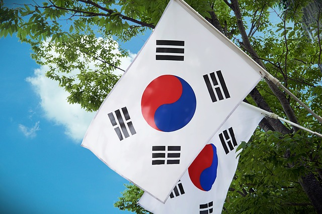 Gangnam smile: North Korean defector wins South Korea's swankiest seat