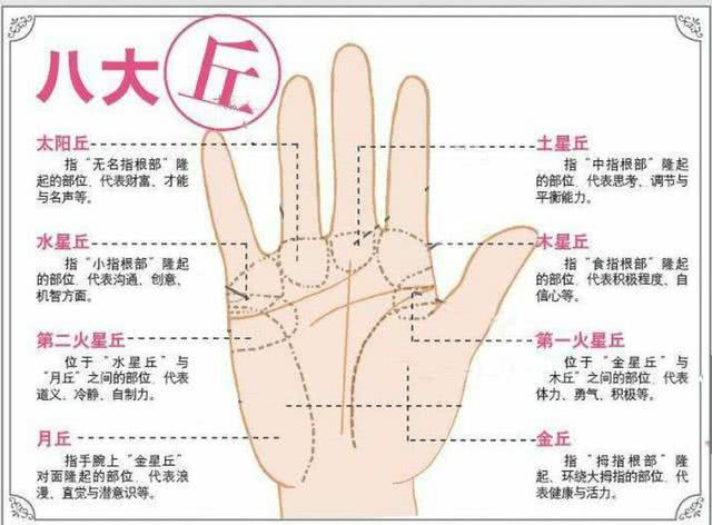 秒懂手相：从手相看会不会一夜暴富