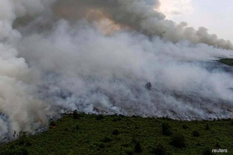 World can do nothing to stop forest fires, laments Dr Mahathir