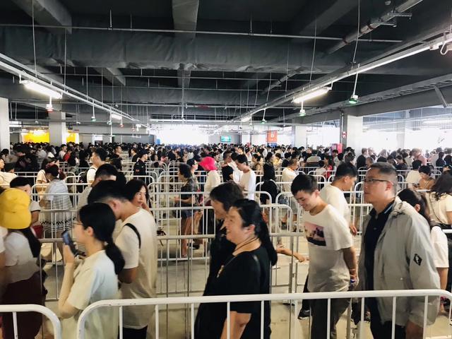 郑州宜家分店开幕8万人排队 市民：比春运还疯狂