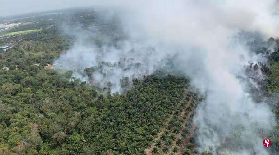 振林山林火由天气干旱引起