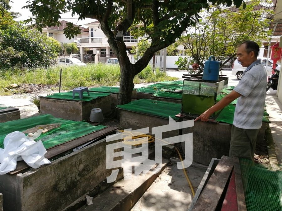 疑遭抢劫心脏病发作　华男倒毙屋旁