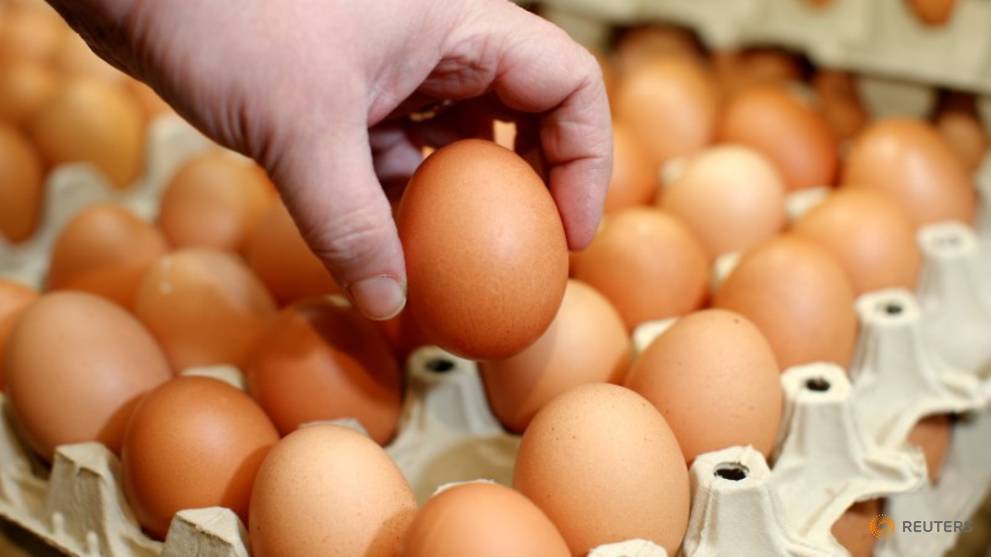 Indonesia scrambles to toss millions of eggs and boost chicken prices