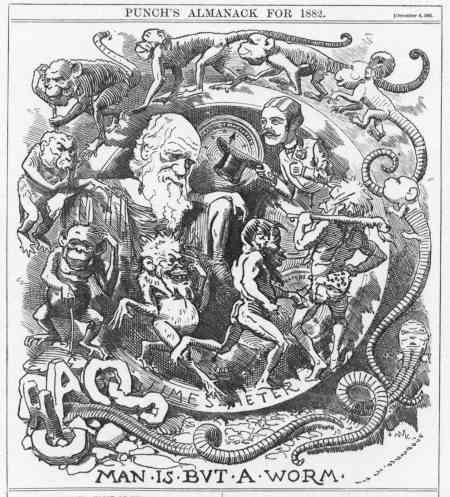 That popular monkey-to-man chart gets evolution all wrong