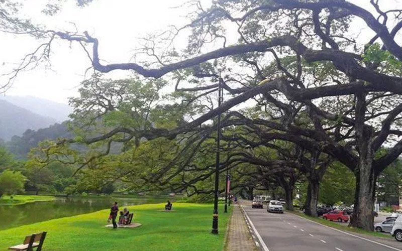 Seek age-friendly city status to boost tourism, local authorities urged