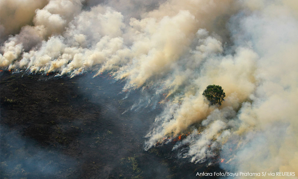 Malaysia complains of smog from Indonesia as forest fires flare
