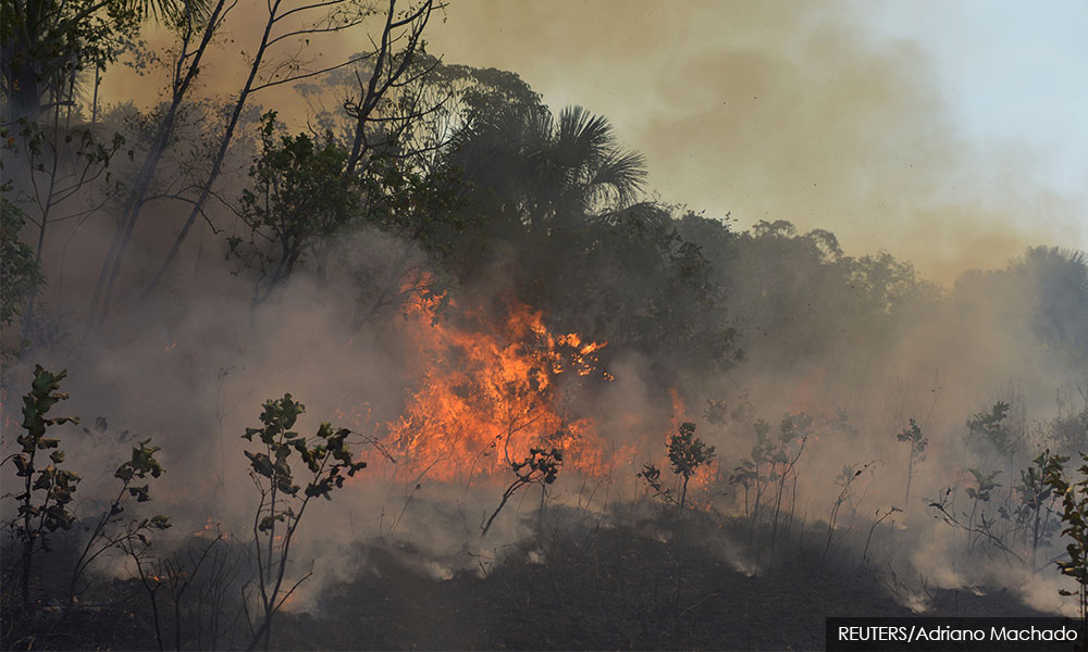 Speaking in Madagascar, Pope says deforestation now a global threat