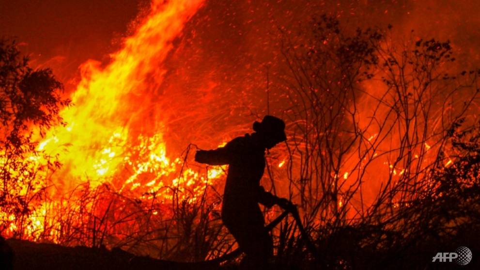 Indonesian province moves to curb slash-and-burn clearances as fires rage