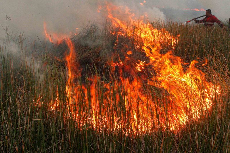 Malaysian plantations ‘targeted’ by Indonesia over haze, says oil palm exec