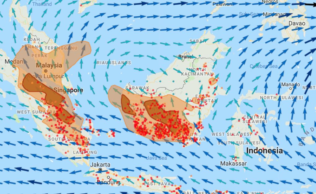 Air quality drops out of ‘unhealthy’ category in Kuching as API falls below 100