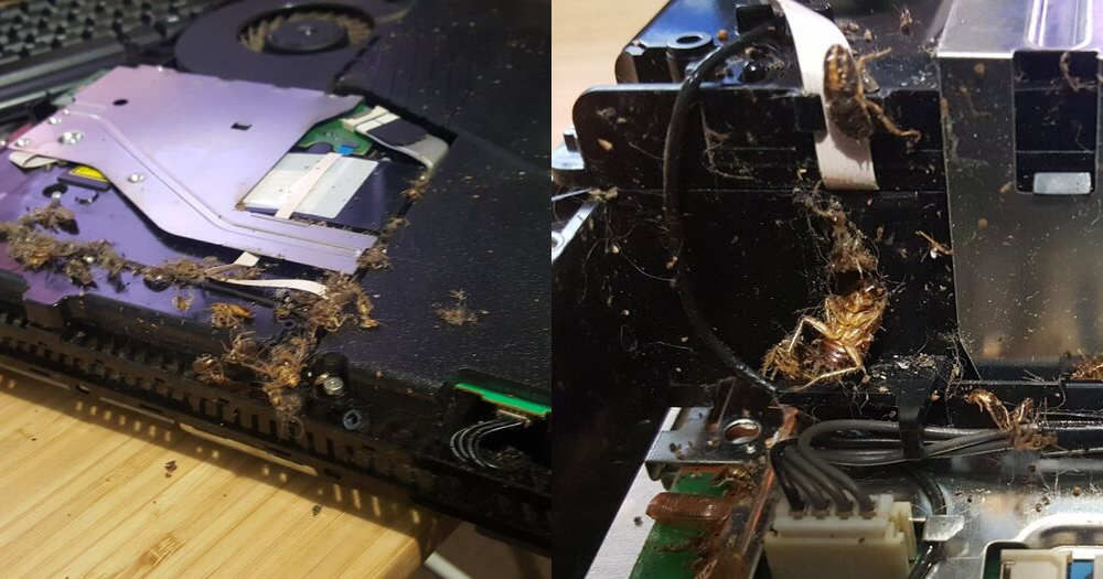 Man finds dead cockroaches in his PS4 & it’s apparently, common