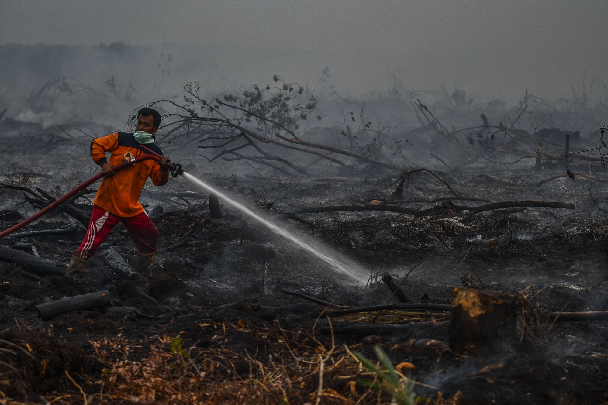 Jokowi Orders Crackdown on Arsonists: SE Asia Haze Update