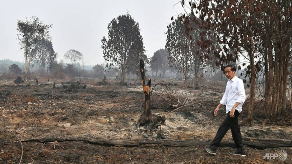 Indonesia 'doing everything' to put out forest fires: President Widodo