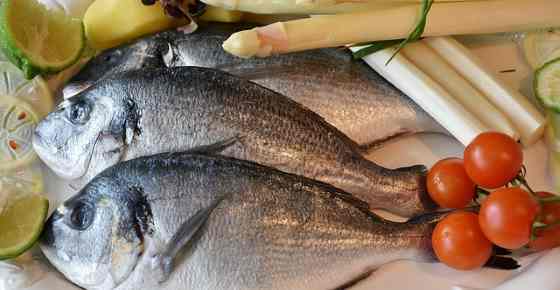 Types of Fish with Their Name, Picture, and Flavor
