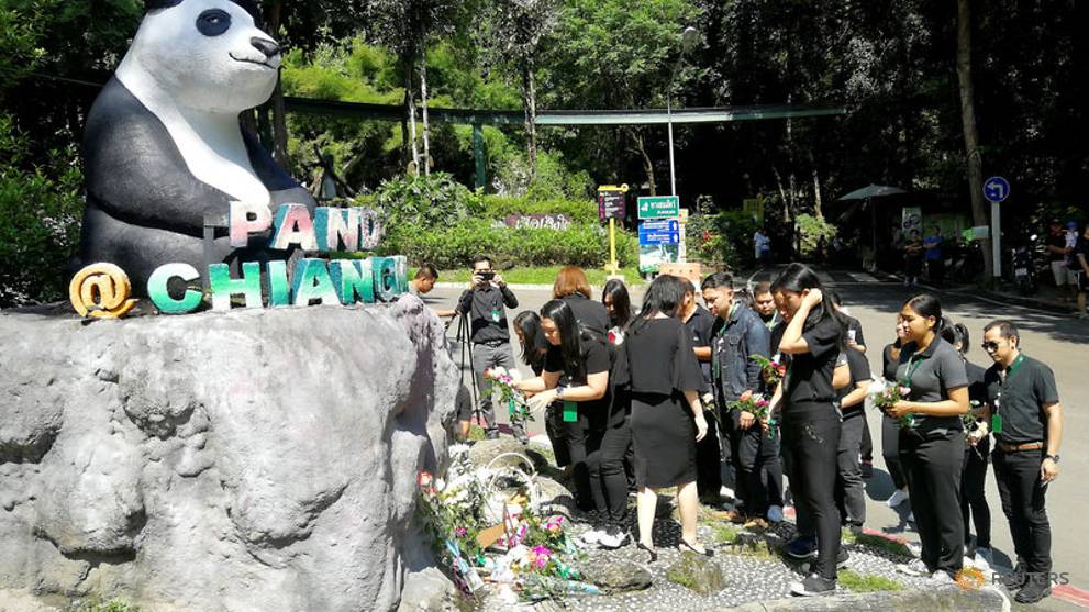 Chinese experts to probe panda Chuang Chuang's death in Thai zoo