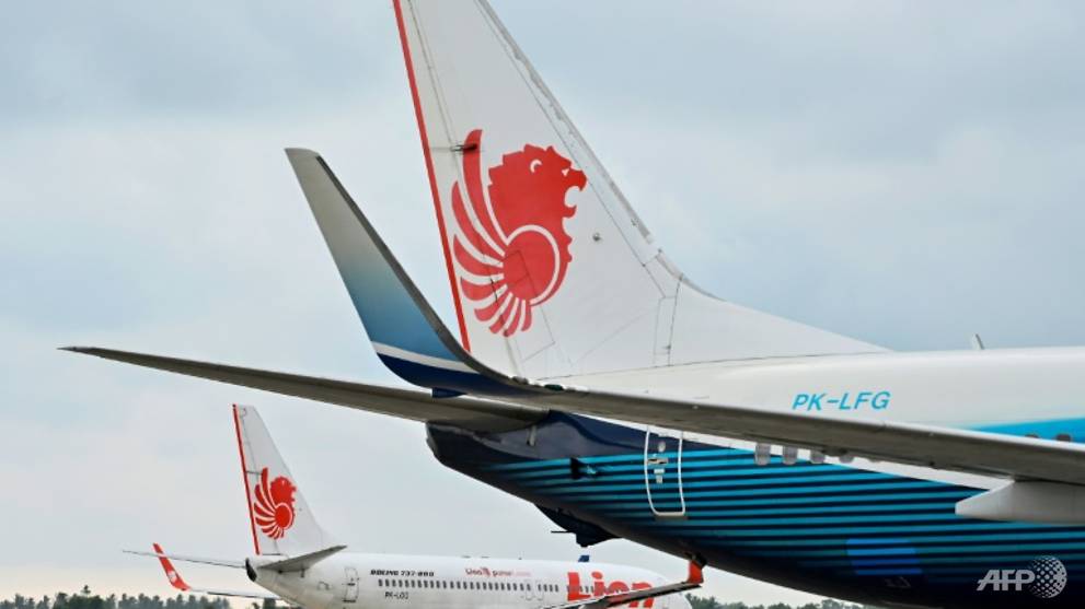 Indonesia, Malaysia probe Lion Air customer data leak