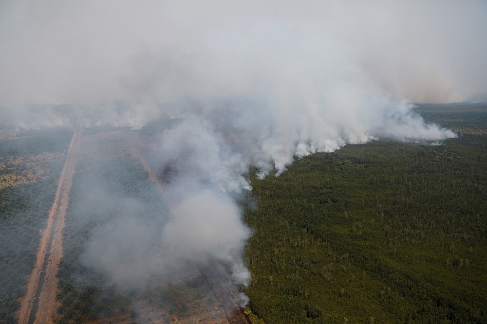 Haze: Evacuated Malaysian students return to Jambi, Pekanbaru in Indonesia