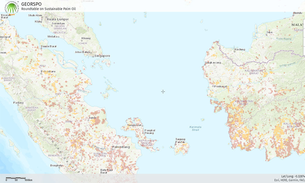 RSPO: Satellite data shows few members' plantations affected by fire