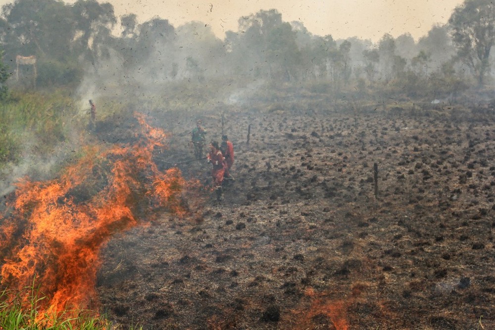 DOE: Increase in number of hotspots in Sumatra, Kalimantan