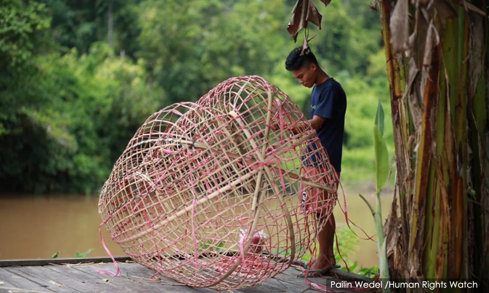 'We can't pray to the god of oil palm', cry Indonesia's indigenous tribes