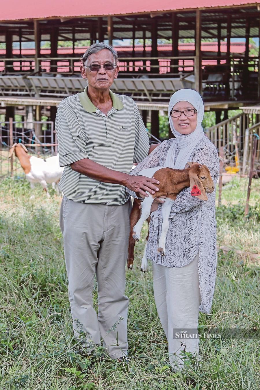 'Focus on boosting ruminant production'