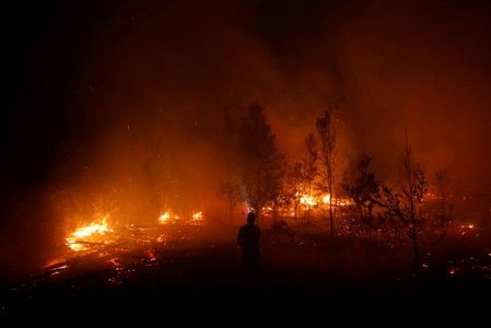 Indonesia has not imposed tough enough penalties for plantation fires - greenpeace