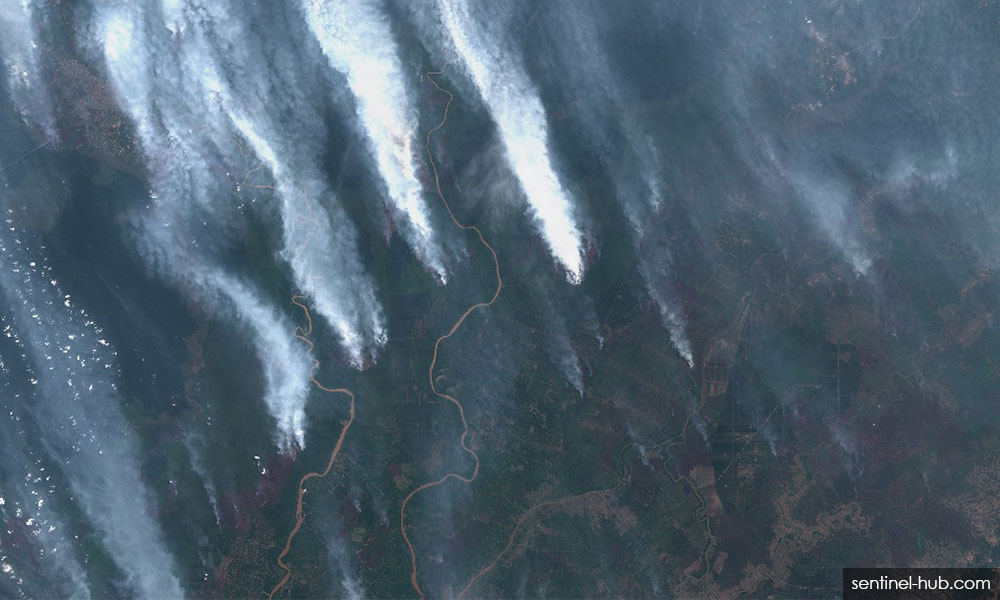 Haze emergency declared in Riau after API exceeds 500