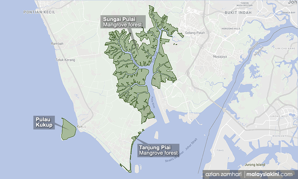 Battle for Tanjung Piai – Identity politics and five other key factors