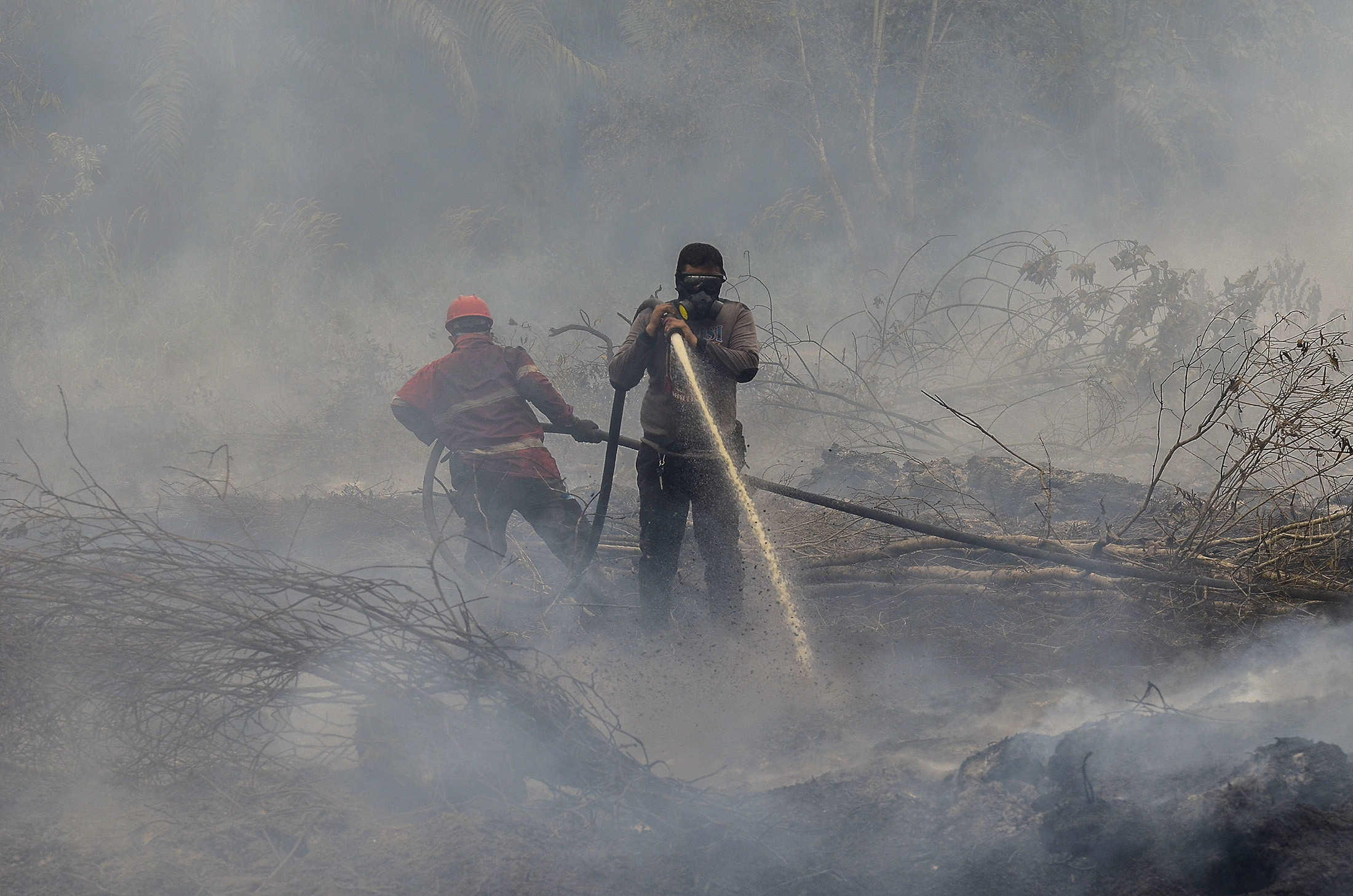 Wildfires in Indonesia Pose Economic Risk, Central Bank Says