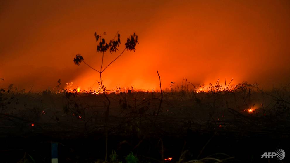 Indonesia forest fires have 'major impact' on climate, 360m tonnes of CO2 released since August: Masagos