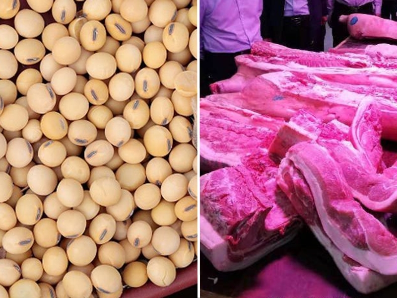 国家商务部：中企与美国成交大豆与猪肉