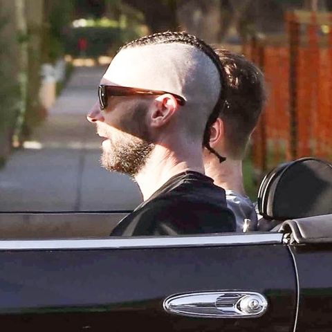 Adam Levine Shaved His Head and Got Cornrows. At the Same Time.