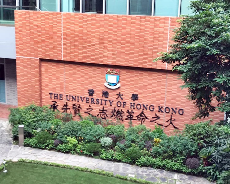 【来论】慨嘆港生「爱的表达方式是破坏」港大内地生盼容得下一张书桌