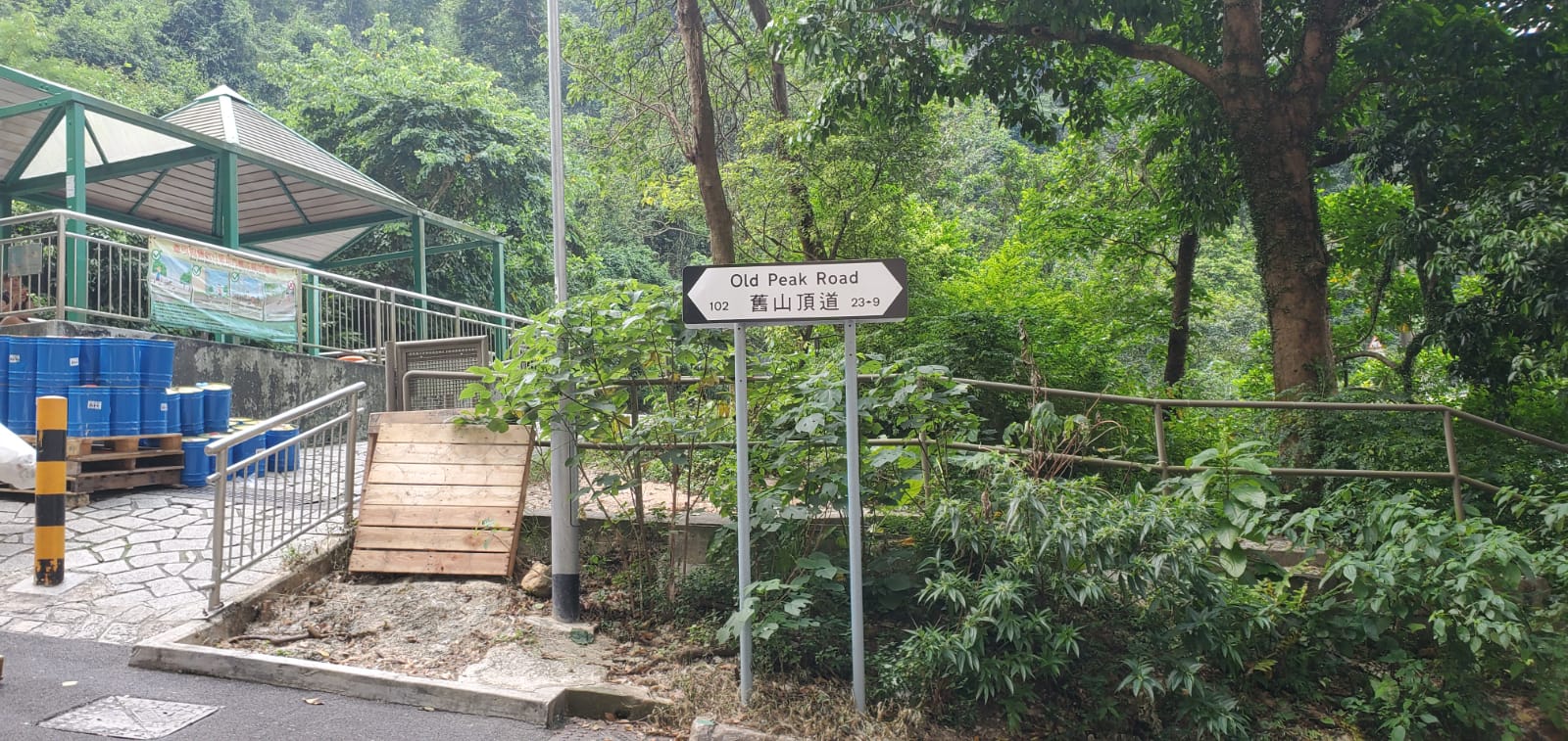 行山汉半山跌伤 获救送院