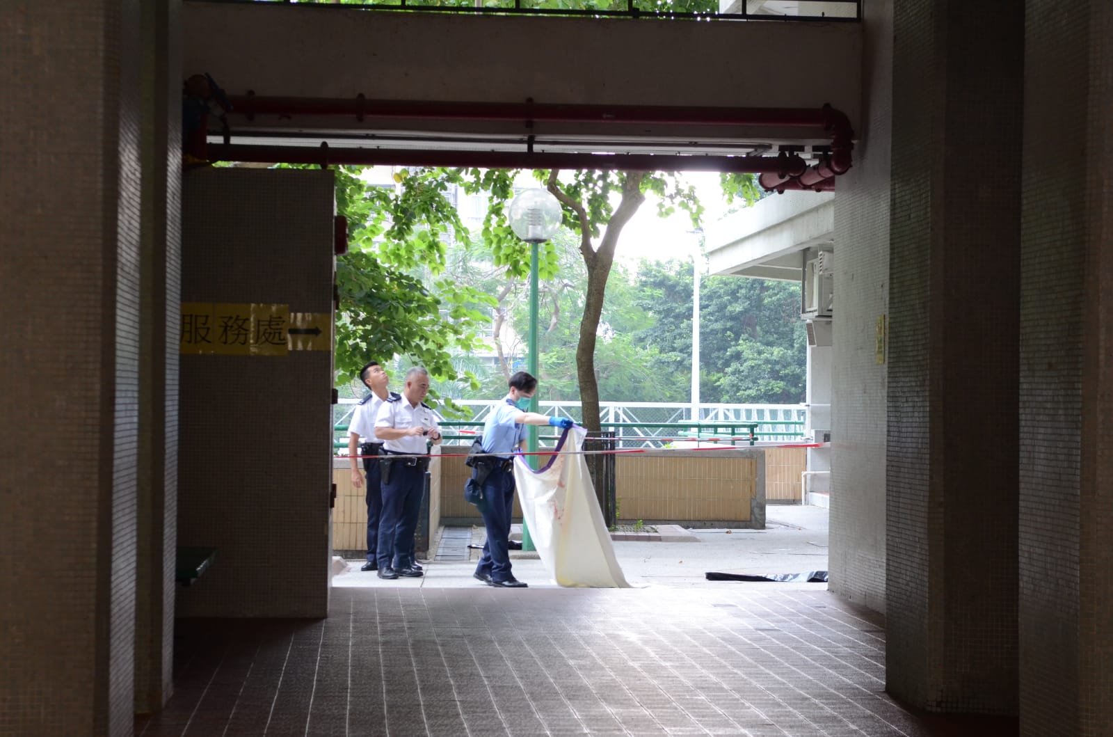 女子秀茂坪晓丽苑堕楼 当场毙命