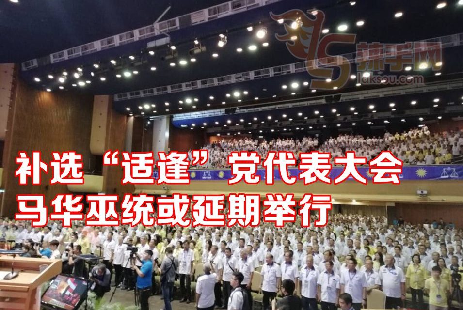 补选“适逢”巫统及马华的党代表大会！