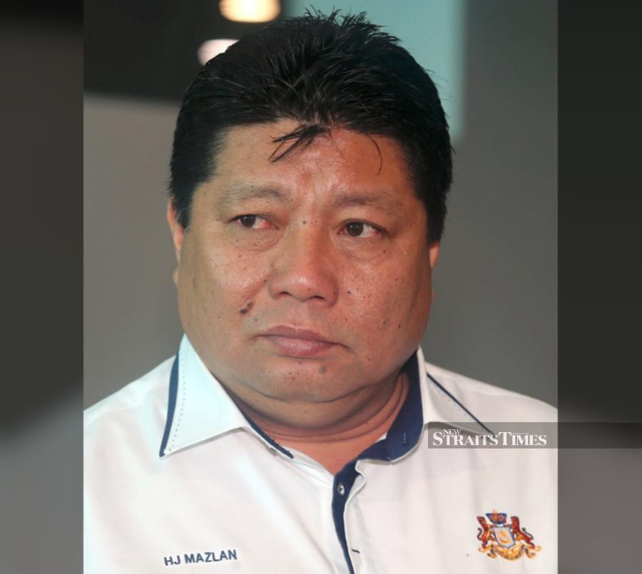 Tanjung Piai by-election: Bersatu to decide on candidate on Friday