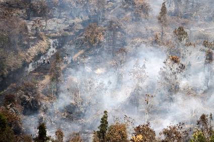 TDM rebuts report Indonesian subsidiary conducted open burning