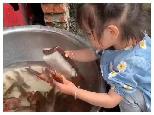 “霸气小萝莉”专业洗龙虾火了，真所谓是一顿“操作”勐如虎