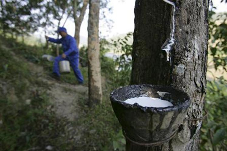 MREPC to roll out new incentive for rubber product industry