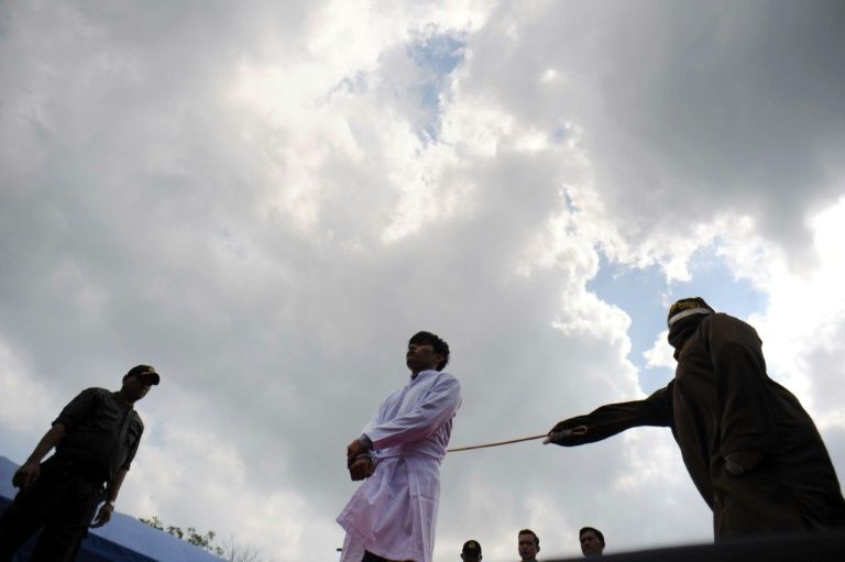 Indonesia's aceh says wildlife poachers to get 100 lashes
