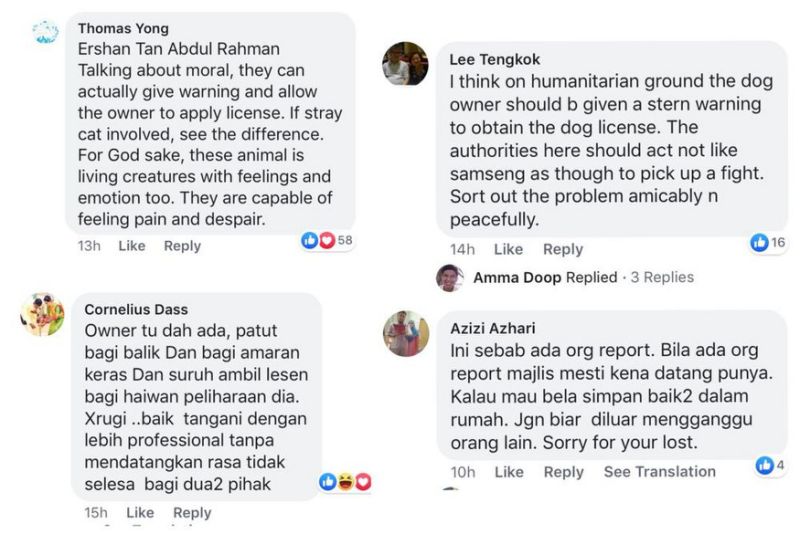 MPSJ council workers irk social media users with ‘cruel’ and ‘aggressive’ handling capture of stray dog