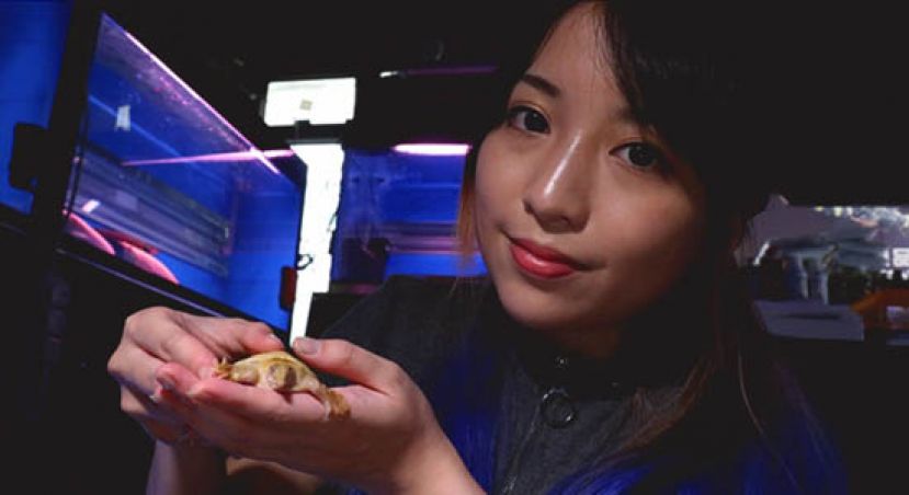 金鱼街渠边拾“活饲料” 美少女救水鱼